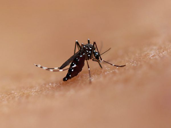 The price of pandemics