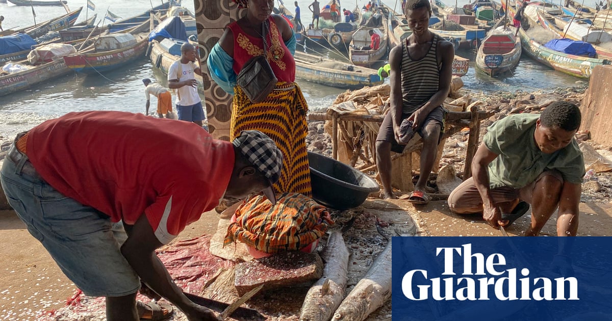 Illegal overfishing by Chinese trawlers leaves Sierra Leone locals &lsquo;starving&rsquo;