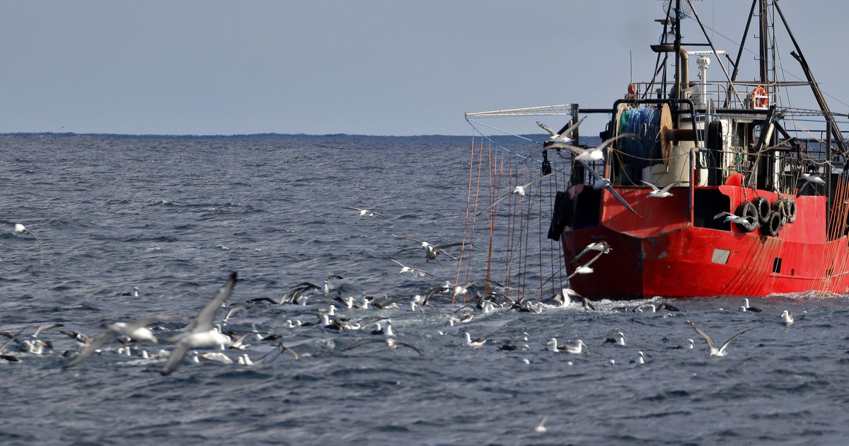 Sierra Leone: Illegal overfishing by Chinese trawlers leaves coastal communities struggling