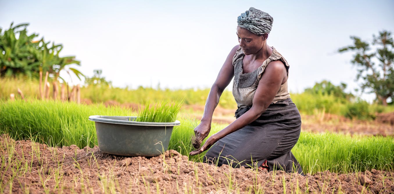 Sierra Leone&rsquo;s women farmers use a custom called bora to access land &ndash; but it&rsquo;s making them more vulnerable